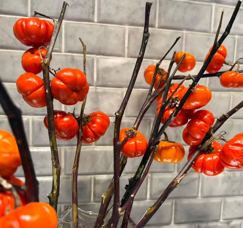 Pumpkin On A Stick Seeds - Heirloom Ornamental Eggplant (15 Seeds) - Solanum integrifolium - Image 1