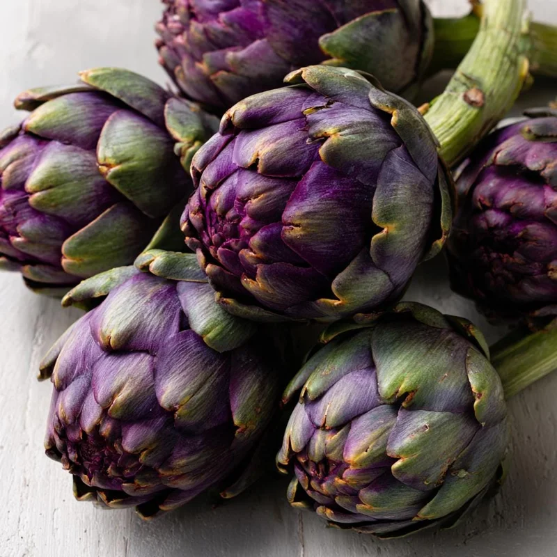 Purple Romagna Artichoke Seeds – 25 Count Heirloom Perennial for Garden - Image 2