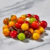 Rainbow Mix Cherry Tomato Seeds 25 Count - Heirloom Multicolor Varieties - Image 1