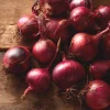 Red Creole Onion Seeds - 200 Heirloom Short Day Onion Seeds for Planting - Image 1