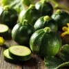 Round Zucchini Seeds - 25 Heirloom Compact Summer Squash Seeds - Image 1