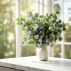 Silver Dollar Eucalyptus Seeds - 10 Seeds, Fragrant Leaves, Eucalyptus Polyanthemos - Image 1