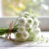 Snowmaiden Scabiosa Seeds - 50 Count - Elegant White Pincushion Flowers for Gardens - Image 1