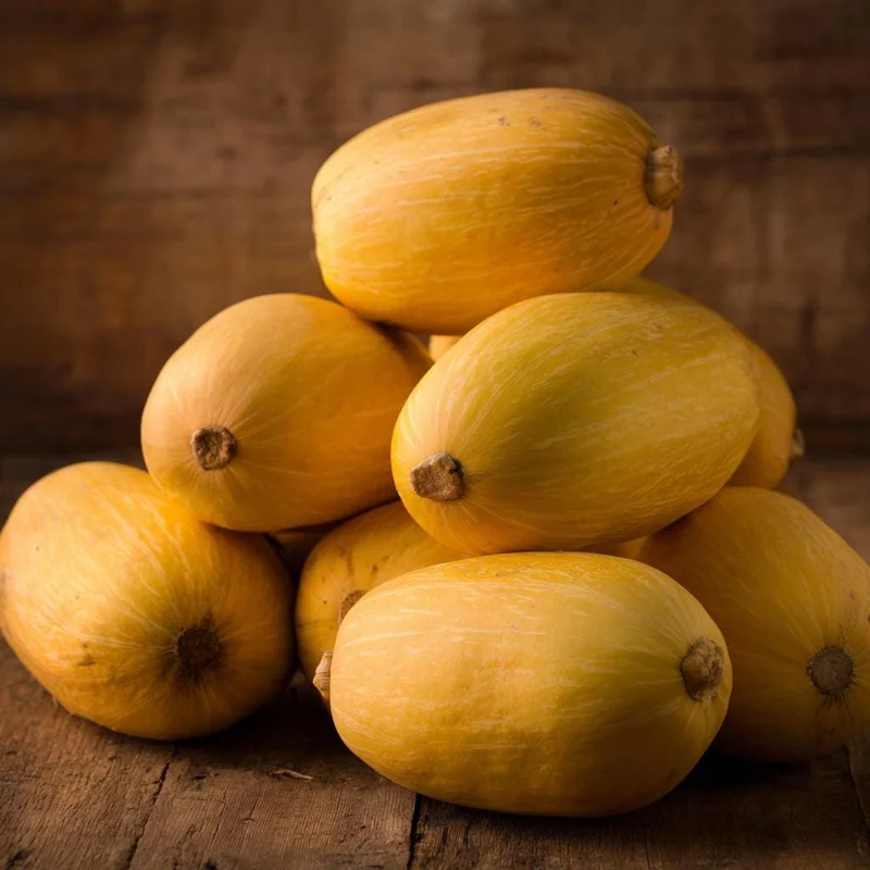 Spaghetti Winter Squash Seeds - 25 Seeds, Easy Grow, Unique Stringy Flesh - Image 2