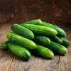 Straight Eight Cucumber Seeds - 50 Seeds - Heirloom Vegetable for Garden & Containers - Image 1