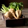 Sugar Beet Seeds – Beta vulgaris Heirloom Variety – 150 Seeds for Sweet Beets - Image 1