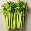Tendercrisp Celery Seeds - 300 Count Heirloom Vegetable Seeds for Home Garden - Image 1