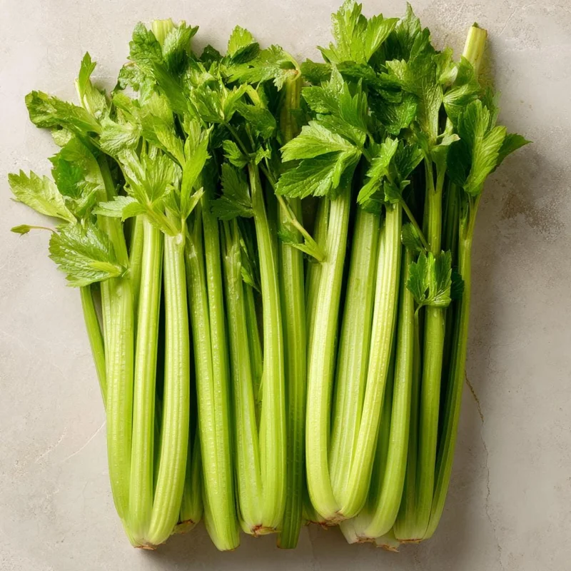 Tendercrisp Celery Seeds - 300 Count Heirloom Vegetable Seeds for Home Garden - Image 1