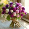 Twilight Purple Globe Amaranth Seeds - 50 Seeds - Long-Lasting Blooms - Image 1