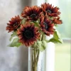 Velvet Queen Sunflower Seeds - 25 Heirloom Helianthus annuus for Gardens - Image 1