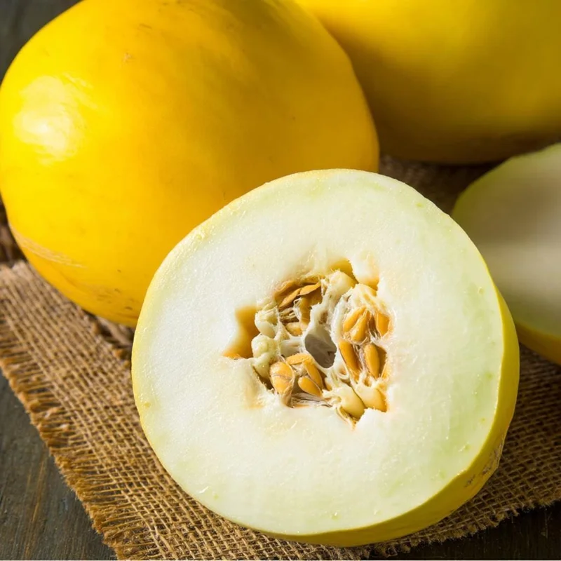 Vine Peach Melon Seeds - 25 Sweet Mango-Flavor Melons for Gardens & Containers - Image 2