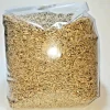10 LBS Organic Rye Berries - Clean Grain for Mushroom Spawn - No Fungicides - Image 1