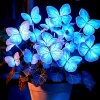 25+ Heirloom Blue Butterfly Coleus Seeds – Rare Ornamental Foliage Plant Vibran - Image 1