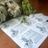 Air Plant Care Sheet Digital Download - Printable Tillandsia Instructions PDF - Image 1