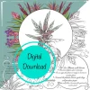 Air Plant Coloring Sheets - 10 Digital Download Tillandsia Educational Pages - Image 1