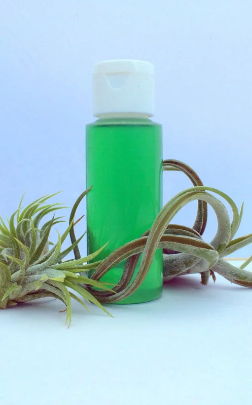 Air Plant Fertilizer Liquid Food - 2oz Tillandsia Nutrient Solution for Growth & Bloom - Image 1