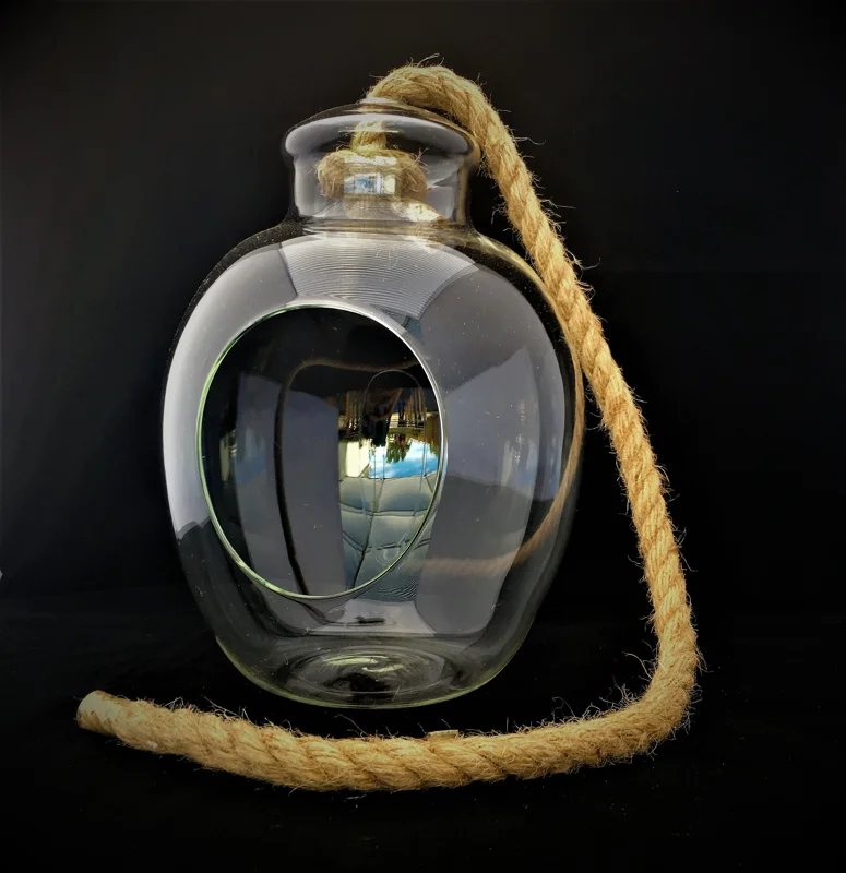 Air Plant Glass Terrarium with Live Tillandsia, Rope Hanger - Fully Assembled Indoor Decor - Image 4