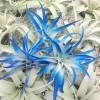 Dark Blue Air Plant Tillandsia Live Plant – 4-6 Inch, Low Maintenance Indoor - Image 1