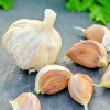 German Red Garlic Seeds - 500+ Count, NON-GMO, Healthy, Fast Growing, Perennial - Image 1