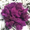 Grape Cranberry Purple Reindeer Moss Decorative - 2 OZ Bag for Terrariums - Image 1