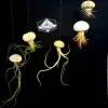 Hanging Air Plant Sea Urchin Planter Set of 3 - Live Tillandsia Indoor Decor - Image 1