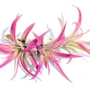 Hot Pink Capitata Air Plant Live Plant Set of 3 - Tillandsia Terrarium Plants 4-7 inches Tall - Image 1