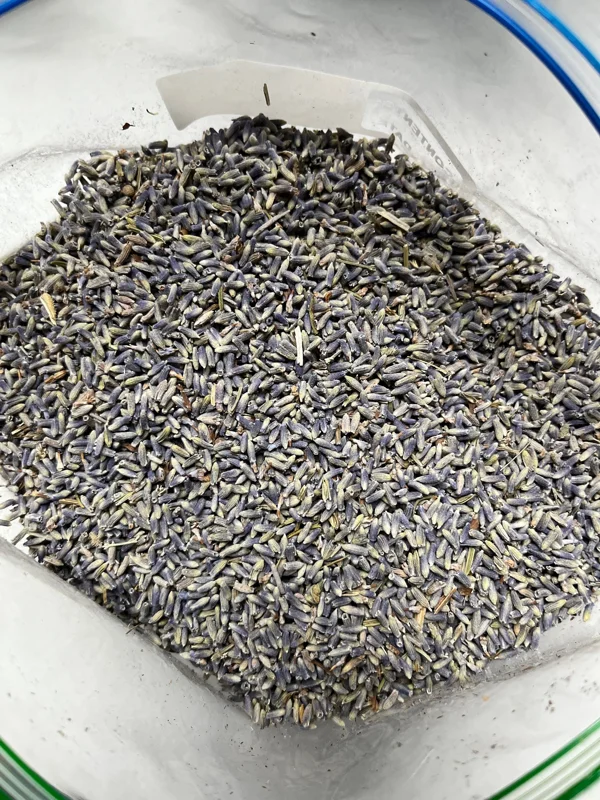 Lavender Buds for Skin Care, Home Fragrance, Cooking, DIY Projects - Dried Organic - Image 4