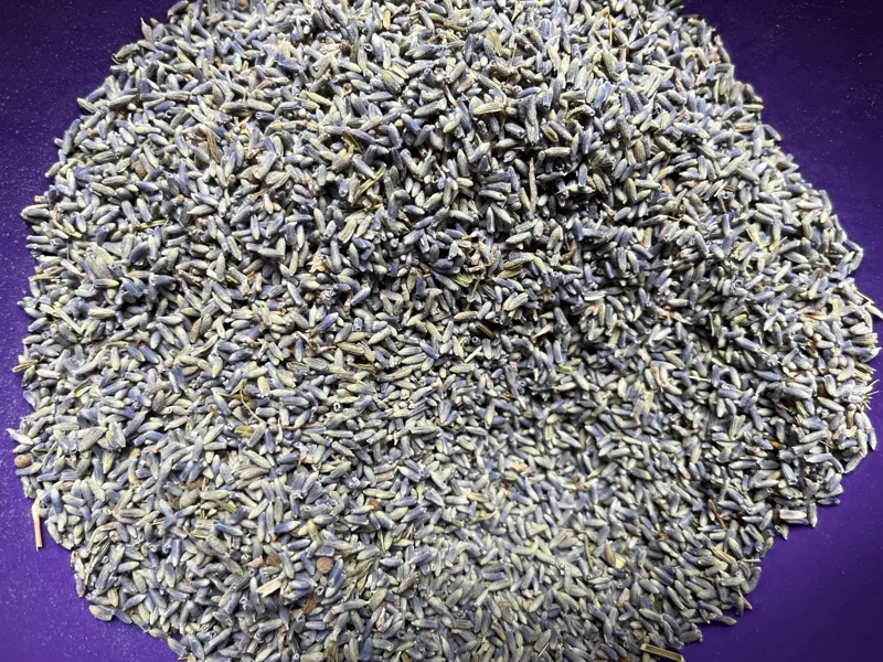 Lavender Buds for Skin Care, Home Fragrance, Cooking, DIY Projects - Dried Organic - Image 1