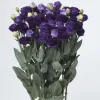 Lisianthus Live Plant Plugs - Well Rooted Starter Flower Plants for Garden - Image 1
