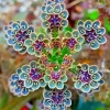 Mother of Millions (Kalanchoe tubiflora) Seeds - Drought Tolerant Succulent - 25 Seeds - Image 1