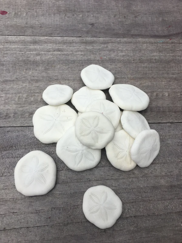 Natural Sand Dollars 1 inch - Bulk Sea Biscuits for Crafts & Decor - Image 2
