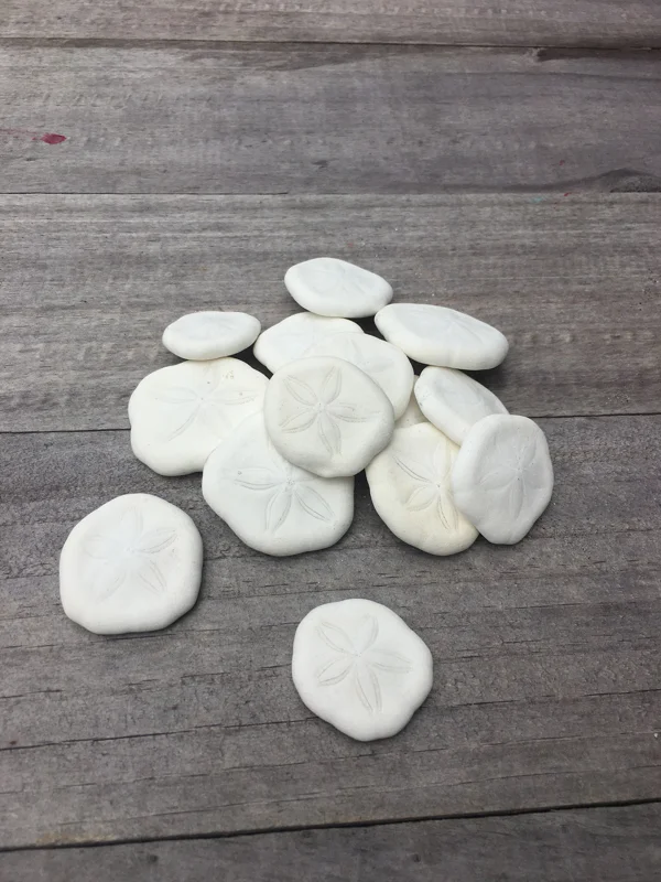 Natural Sand Dollars 1 inch - Bulk Sea Biscuits for Crafts & Decor - Image 1