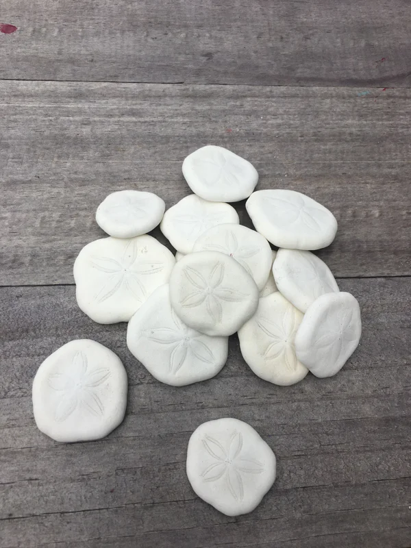 Natural Sand Dollars - Coastal Decor & Craft Supplies - Bulk Sea Biscuits - Image 2