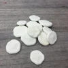 Natural Sand Dollars - Coastal Decor & Craft Supplies - Bulk Sea Biscuits - Image 1