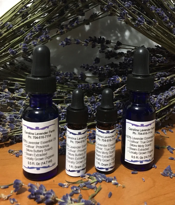 Pure Lavender Essential Oil - Organic Aromatherapy Concentrate - Image 1