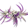 Purple Air Plant Mix Tillandsia Set of 6 Live Plants, 3in+, Indoor, Easy Care - Image 1
