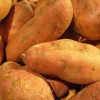 Red Sweet Potato Seed for Planting 113g - USDA Certified, Vining Growth - Image 1