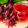 Roselle Seeds - Asian Sour Leaf, Red Sorrell, Florida Cranberry, Jamaican Tea - 25+ Seeds - Image 1