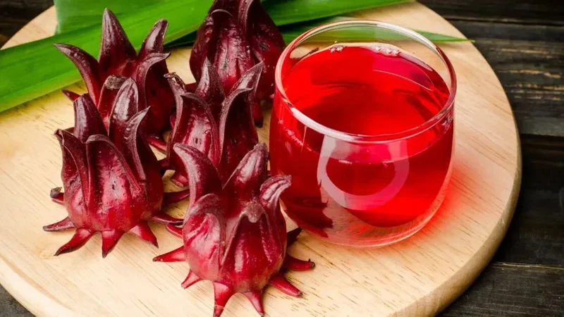Roselle Seeds - Asian Sour Leaf, Red Sorrell, Florida Cranberry, Jamaican Tea - 25+ Seeds - Image 1