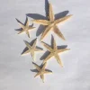Tan Starfish Set 10 pcs - Natural Decorative Starfish for Crafts & Decor - Image 1