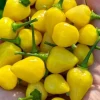 Yellow Jelly Bean Fire Super Hot Chili Pepper Live Plant - 3 Pack - Super Hot Variety - Image 1