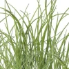 Chives Herb Live Plant 7" Tall - Potted Perennial for Culinary Gardens - Image 1