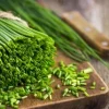 Chives Live Plant – 3-5" Tall – Culinary Herb for Garden & Pots - Image 1