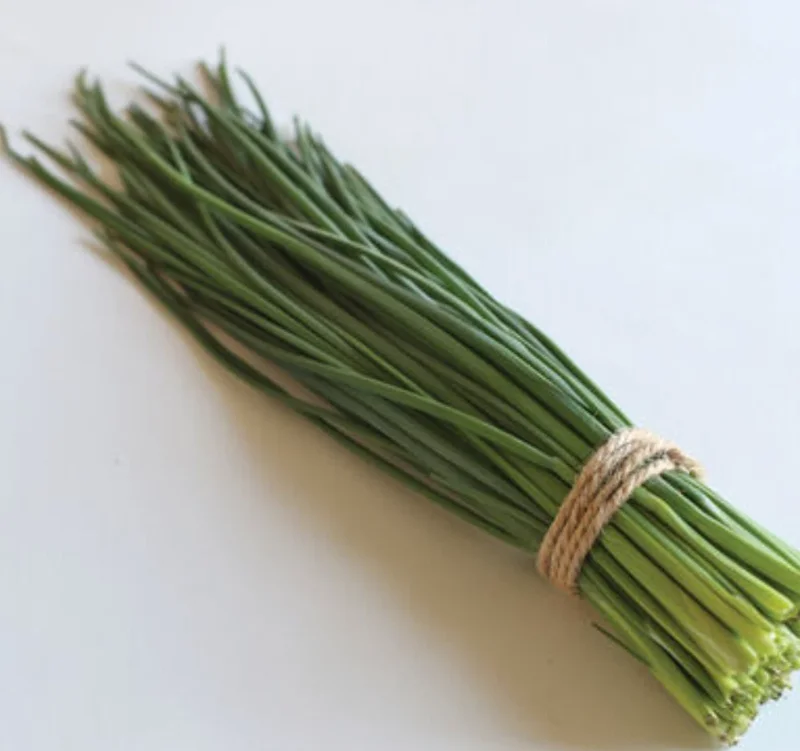 Chives Live Plant – 3-5" Tall – Culinary Herb for Garden & Pots - Image 3
