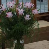 - Image 1