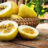 Yellow Passionfruit Live Plant – Tropical Fruit Vine – 4-6" Tall - Image 1