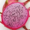 10 Organic Pink Flesh Dragon Fruit Live Cacti Cuttings 8+" - Outdoor Climbing Cactus - Image 1