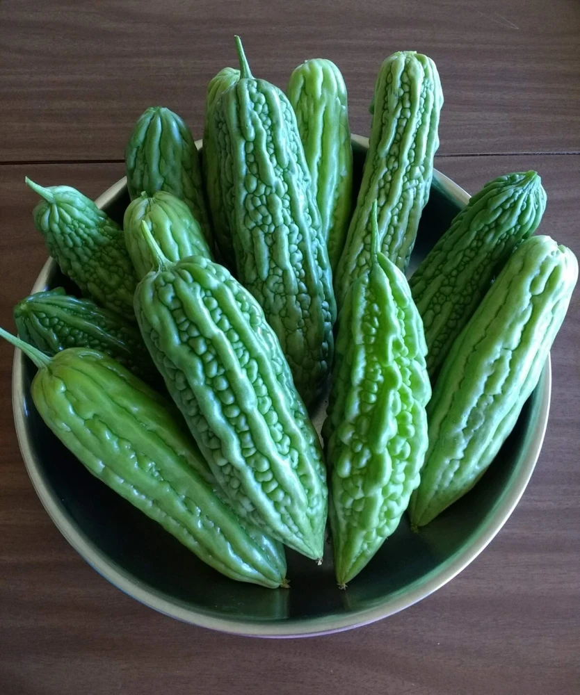 15 Chinese Bitter Melon Seeds - Heirloom Vegetable Gourd Squash, Annual, Outdoor - Image 1