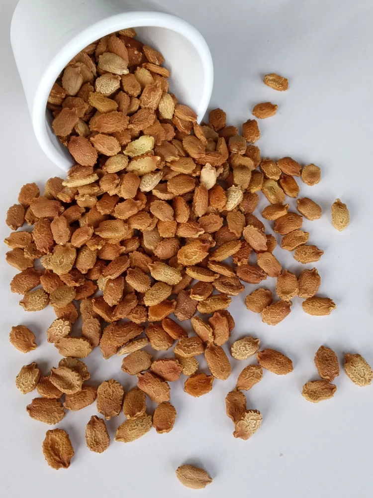 15 Chinese Bitter Melon Seeds - Heirloom Vegetable Gourd Squash, Annual, Outdoor - Image 2