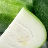 15 Giant Winter Melon Wax Gourd Squash Seeds | Easy Grow USA | Outdoor - Image 1